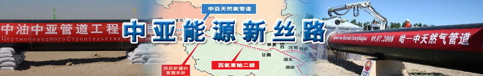 2009���Ʒ�̓r�������{��