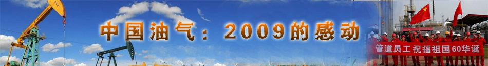 �Ї��͚⣺2009�ĸЄ�