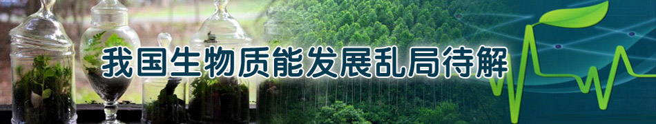 �҇������|�ܰl(f��)չ�y�ִ���