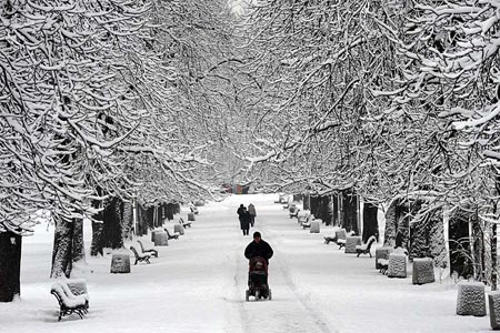 �����u���W��