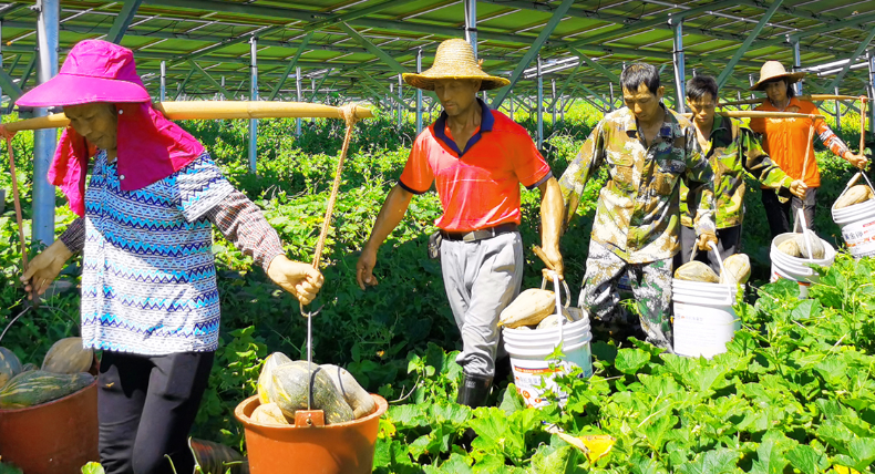 農(nóng)光互補PowMart智慧能源解決方案